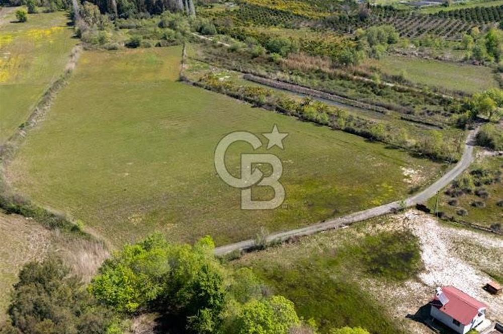 Muğla Köyceğiz Toparlar Mahallesinde 6.5 dönüm müstakil tapulu tarla