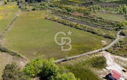 Muğla Köyceğiz Toparlar Mahallesinde 6.5 dönüm müstakil tapulu tarla
