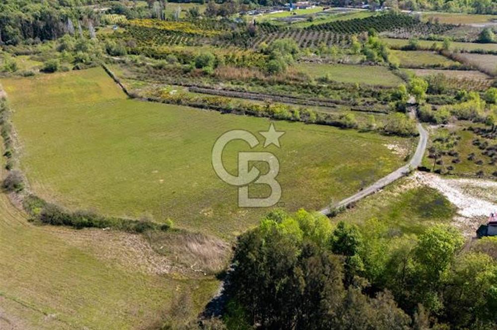 Muğla Köyceğiz Toparlar Mahallesinde 6.5 dönüm müstakil tapulu tarla