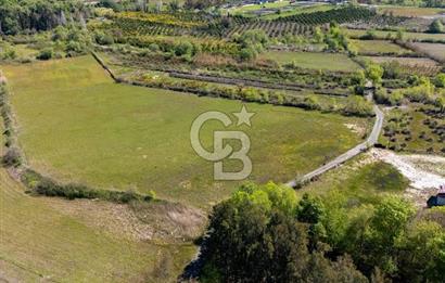 Muğla Köyceğiz Toparlar Mahallesinde 6.5 dönüm müstakil tapulu tarla