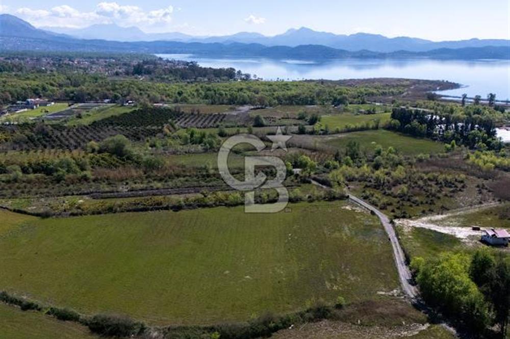 Muğla Köyceğiz Toparlar Mahallesinde 6.5 dönüm müstakil tapulu tarla