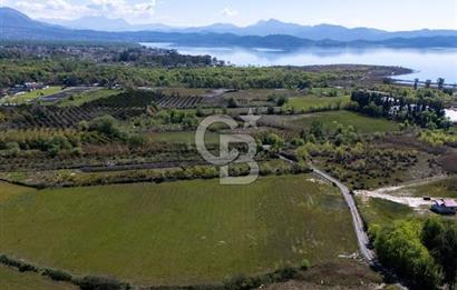 Muğla Köyceğiz Toparlar Mahallesinde 6.5 dönüm müstakil tapulu tarla