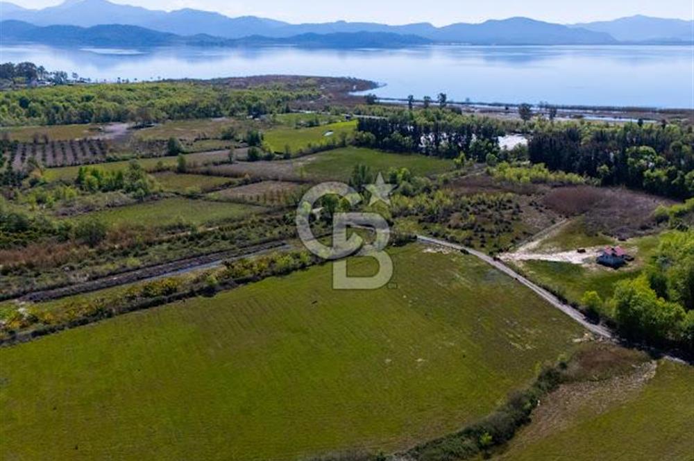 Muğla Köyceğiz Toparlar Mahallesinde 6.5 dönüm müstakil tapulu tarla