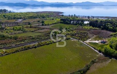 Muğla Köyceğiz Toparlar Mahallesinde 6.5 dönüm müstakil tapulu tarla