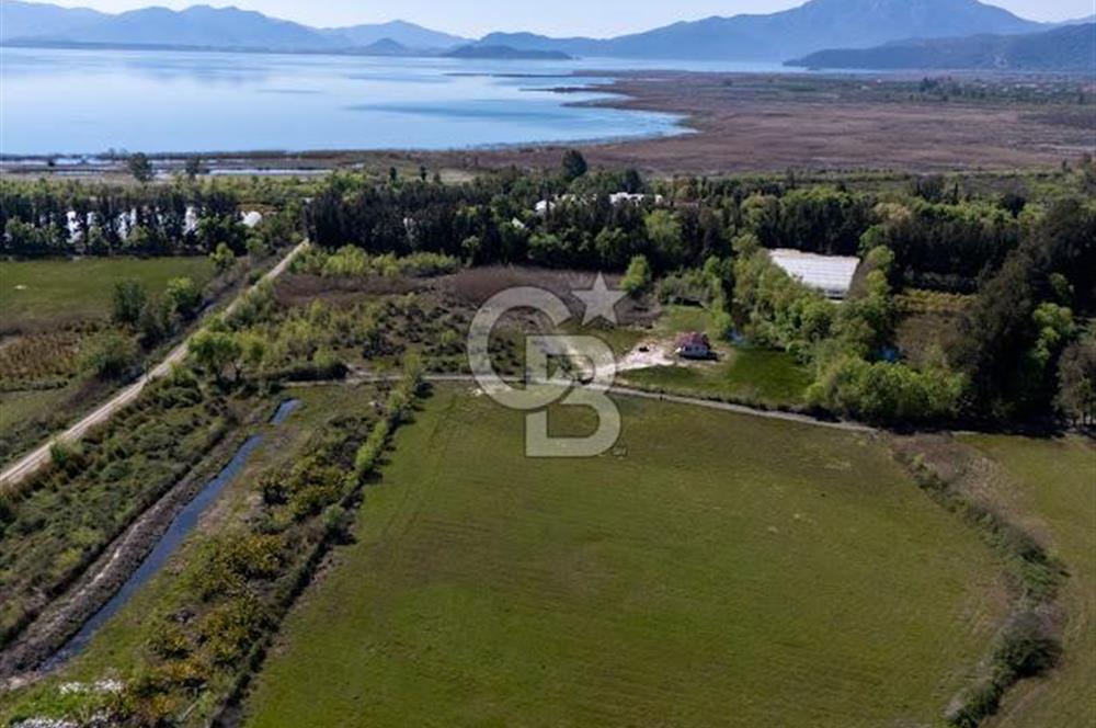 Muğla Köyceğiz Toparlar Mahallesinde 6.5 dönüm müstakil tapulu tarla