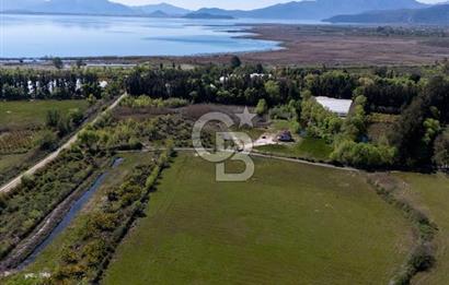 Muğla Köyceğiz Toparlar Mahallesinde 6.5 dönüm müstakil tapulu tarla