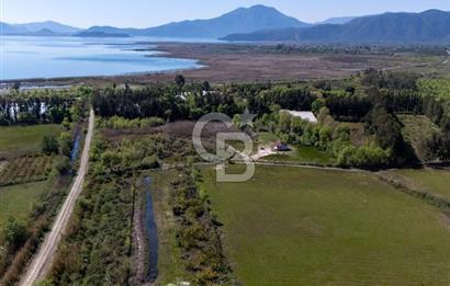 Muğla Köyceğiz Toparlar Mahallesinde 6.5 dönüm müstakil tapulu tarla