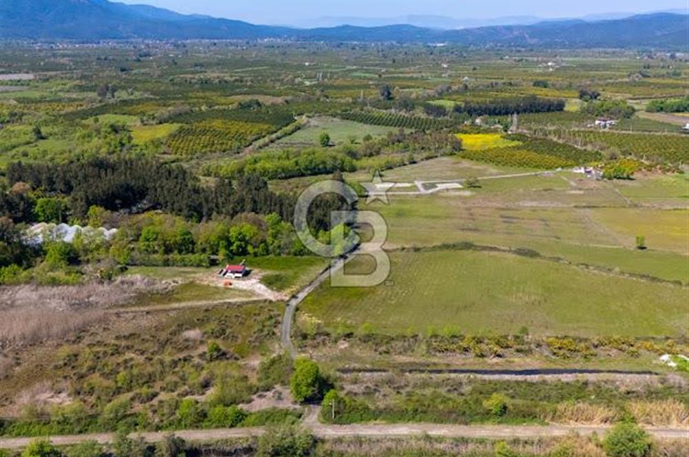 Muğla Köyceğiz Toparlar Mahallesinde 6.5 dönüm müstakil tapulu tarla
