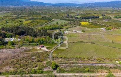 Muğla Köyceğiz Toparlar Mahallesinde 6.5 dönüm müstakil tapulu tarla