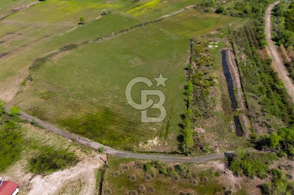 Muğla Köyceğiz Toparlar Mahallesinde 6.5 dönüm müstakil tapulu tarla