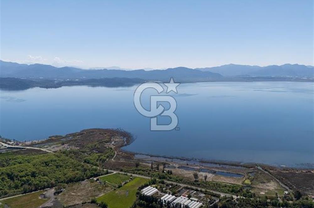 Muğla Köyceğiz Toparlar Mahallesinde 6.5 dönüm müstakil tapulu tarla