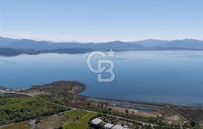 Muğla Köyceğiz Toparlar Mahallesinde 6.5 dönüm müstakil tapulu tarla