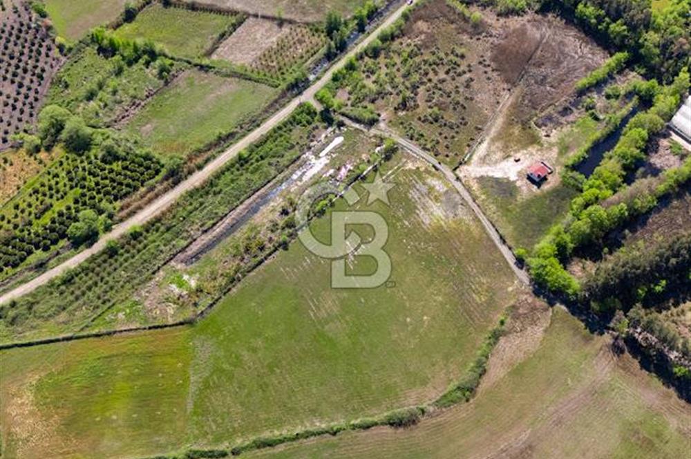 Muğla Köyceğiz Toparlar Mahallesinde 6.5 dönüm müstakil tapulu tarla