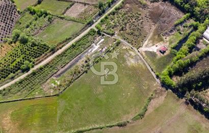 Muğla Köyceğiz Toparlar Mahallesinde 6.5 dönüm müstakil tapulu tarla