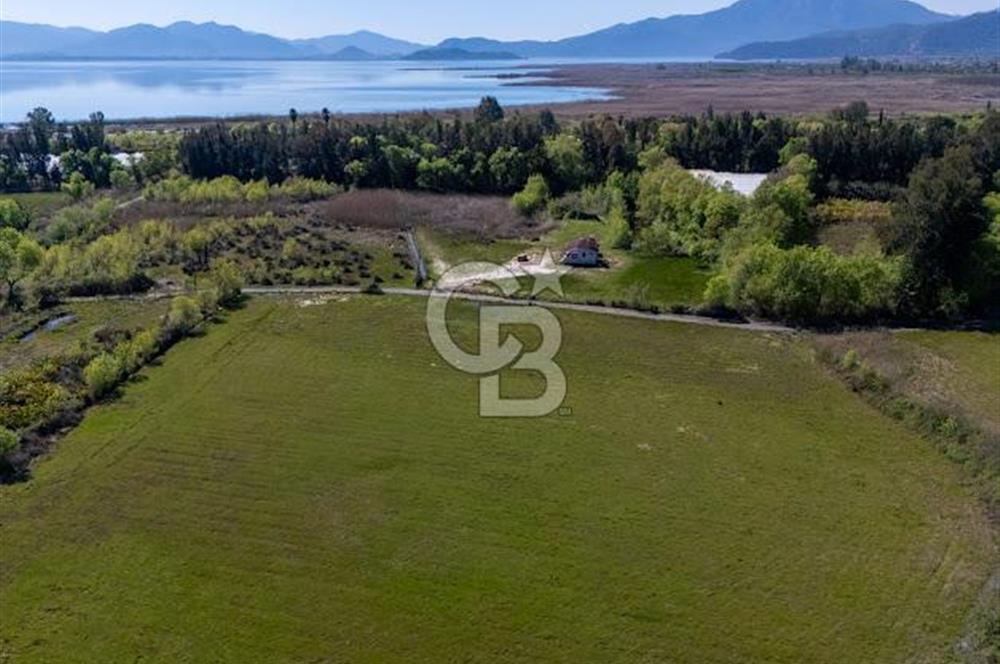 Muğla Köyceğiz Toparlar Mahallesinde 6.5 dönüm müstakil tapulu tarla