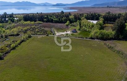 Muğla Köyceğiz Toparlar Mahallesinde 6.5 dönüm müstakil tapulu tarla