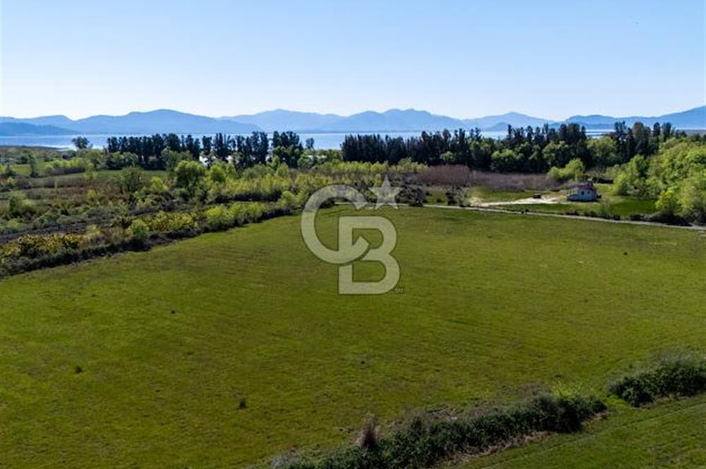 Muğla Köyceğiz Toparlar Mahallesinde 6.5 dönüm müstakil tapulu tarla