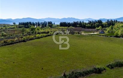 Muğla Köyceğiz Toparlar Mahallesinde 6.5 dönüm müstakil tapulu tarla