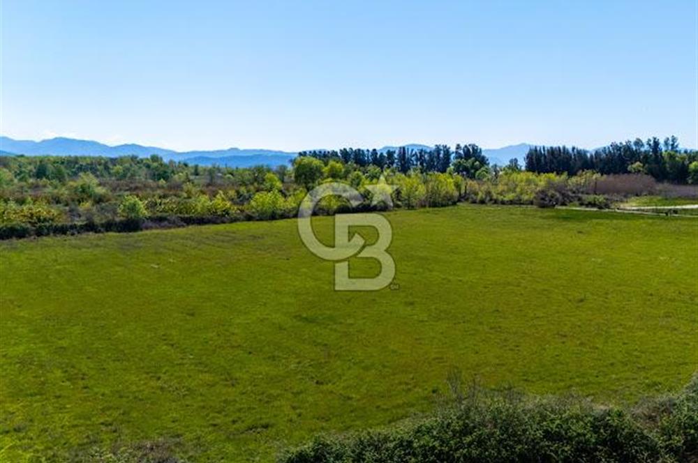 Muğla Köyceğiz Toparlar Mahallesinde 6.5 dönüm müstakil tapulu tarla