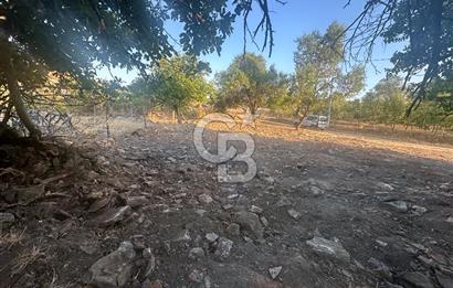 ÇANAKKALE MERKEZ SALİHLER KÖYÜ SATILIK KÖYİÇİ İMARLI 551 M2 ARSA