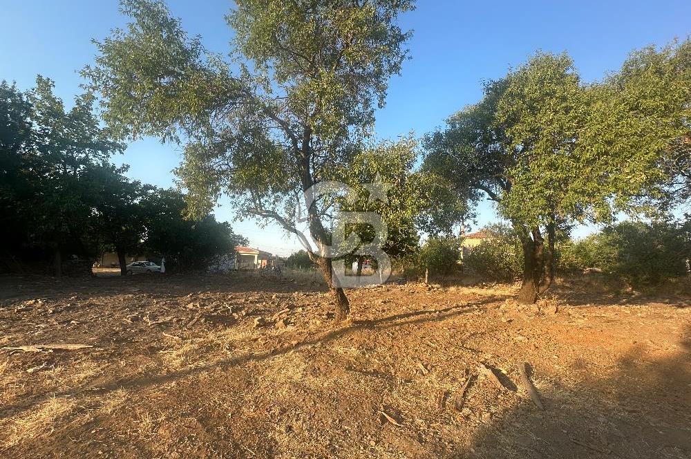 ÇANAKKALE MERKEZ SALİHLER KÖYÜ SATILIK KÖYİÇİ İMARLI 551 M2 ARSA