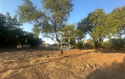 ÇANAKKALE MERKEZ SALİHLER KÖYÜ SATILIK KÖYİÇİ İMARLI 551 M2 ARSA