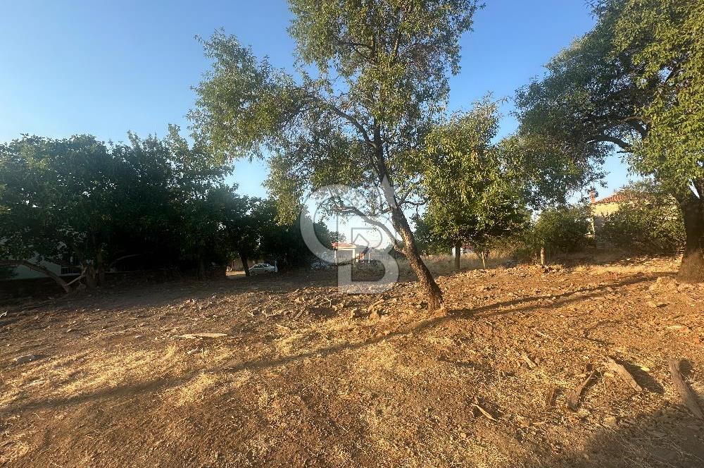 ÇANAKKALE MERKEZ SALİHLER KÖYÜ SATILIK KÖYİÇİ İMARLI 551 M2 ARSA