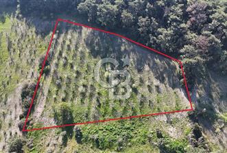 İzmir bornova karaçamda satılık müstakil tarla - 12 - 342967