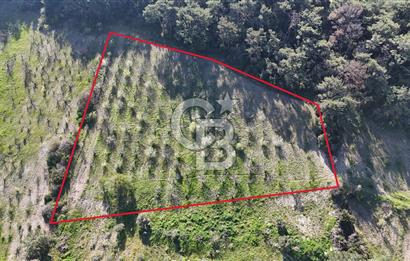 İzmir bornova karaçamda satılık müstakil tarla