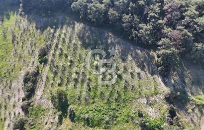 İzmir bornova karaçamda satılık müstakil tarla