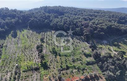 İzmir bornova karaçamda satılık müstakil tarla