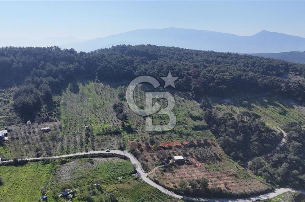 İzmir bornova karaçamda satılık müstakil tarla
