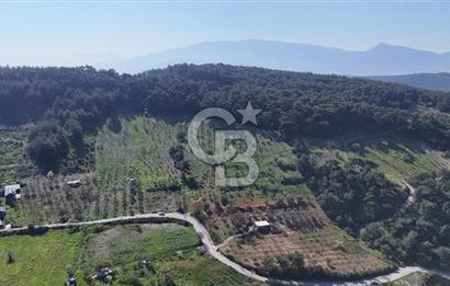 İzmir bornova karaçamda satılık müstakil tarla