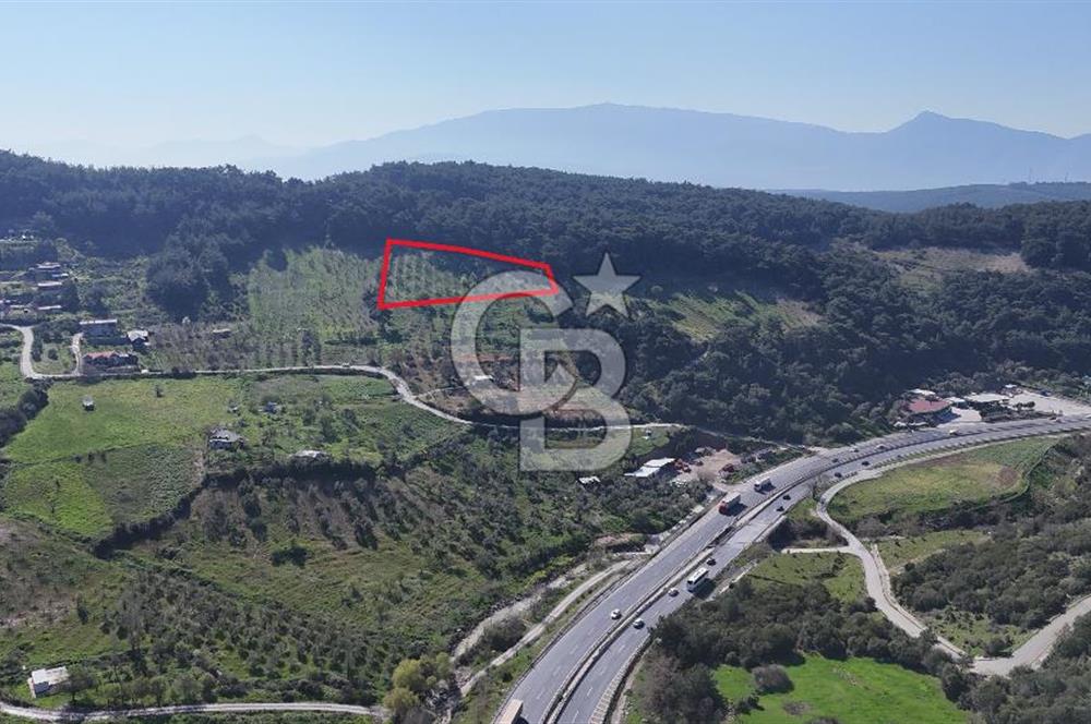 İzmir bornova karaçamda satılık müstakil tarla