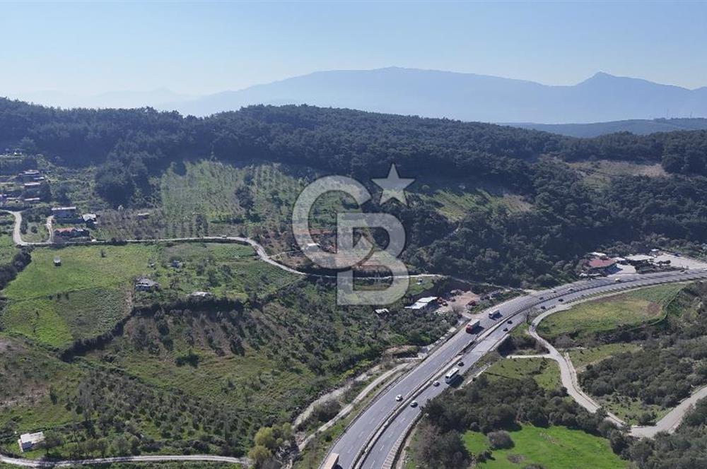 İzmir bornova karaçamda satılık müstakil tarla