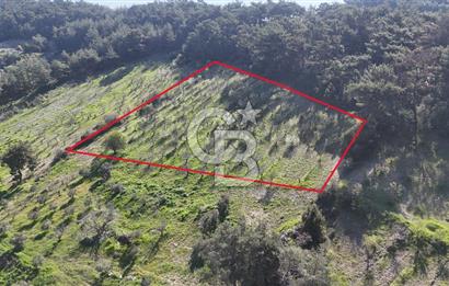 İzmir bornova karaçamda satılık müstakil tarla