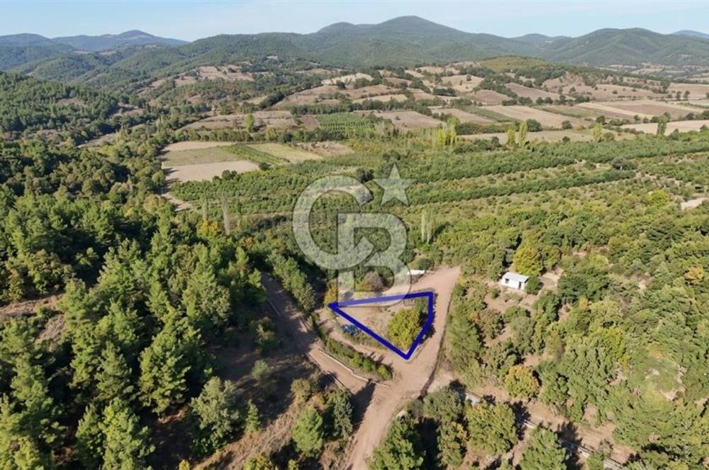 ÇANAKKALE BAYRAMİÇ KARAKÖY DE SATILIK 460 M2 FIRSAT BAHÇE