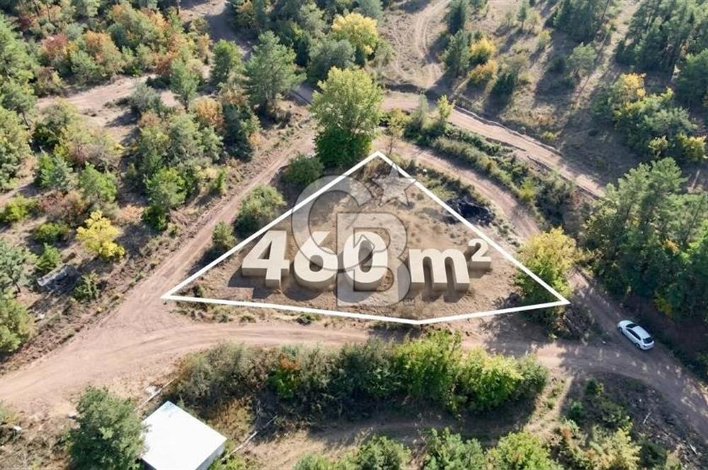 ÇANAKKALE BAYRAMİÇ KARAKÖY DE SATILIK 460 M2 FIRSAT BAHÇE