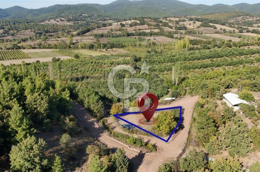 ÇANAKKALE BAYRAMİÇ KARAKÖY DE SATILIK 460 M2 FIRSAT BAHÇE