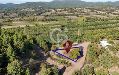 ÇANAKKALE BAYRAMİÇ KARAKÖY DE SATILIK 460 M2 FIRSAT BAHÇE