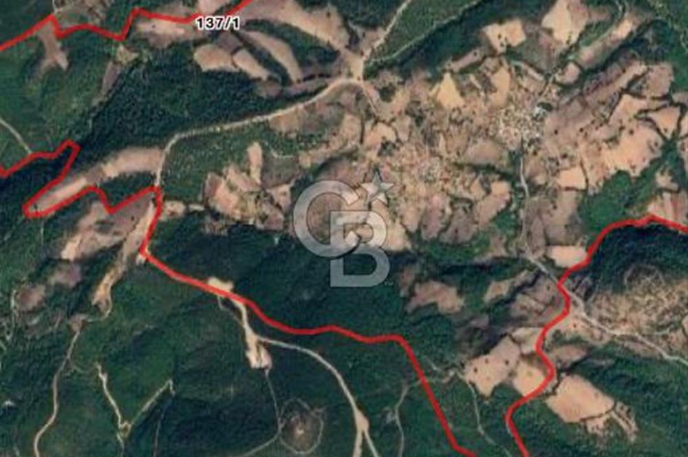 ÇANAKKALE BAYRAMİÇ KARINCALIK KÖYÜ 500 M2 TARLA