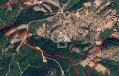 ÇANAKKALE BAYRAMİÇ KARINCALIK KÖYÜ 500 M2 TARLA