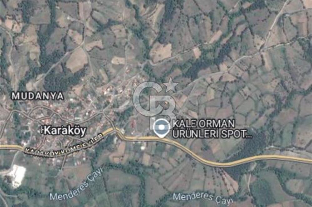 ÇANAKKALE BAYRAMİÇ KARAKÖY DE SATILIK 460 M2 FIRSAT BAHÇE