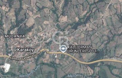 ÇANAKKALE BAYRAMİÇ KARAKÖY DE SATILIK 460 M2 FIRSAT BAHÇE