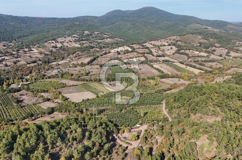 ÇANAKKALE BAYRAMİÇ KARAKÖY DE SATILIK 460 M2 FIRSAT BAHÇE