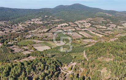 ÇANAKKALE BAYRAMİÇ KARAKÖY DE SATILIK 460 M2 FIRSAT BAHÇE