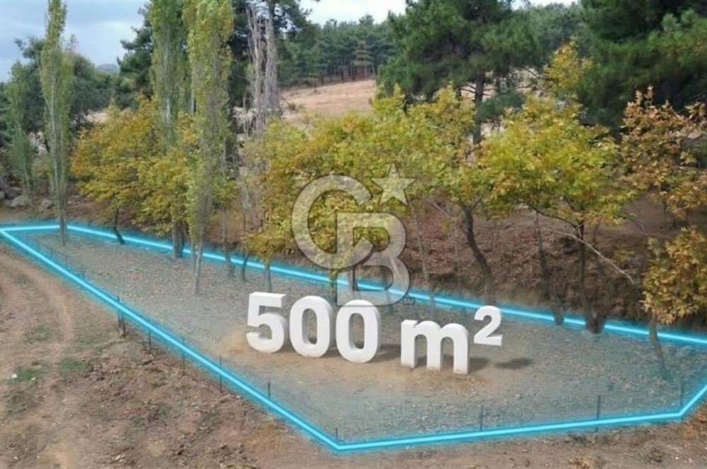 ÇANAKKALE BAYRAMİÇ KARINCALIK KÖYÜ 500 M2 TARLA