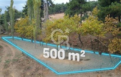 ÇANAKKALE BAYRAMİÇ KARINCALIK KÖYÜ 500 M2 TARLA