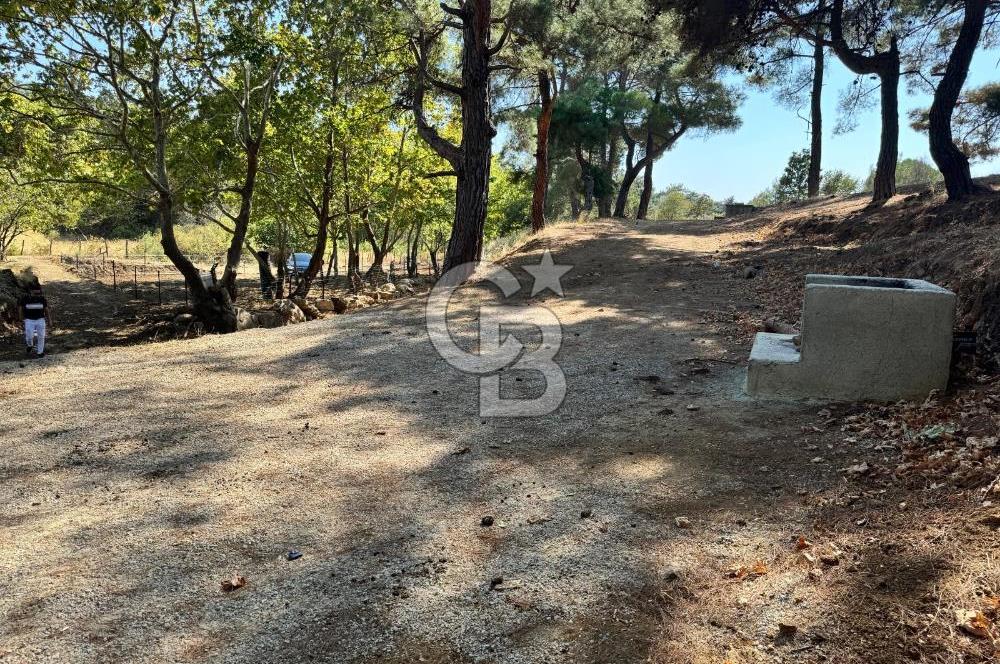 ÇANAKKALE BAYRAMİÇ KARINCALIK KÖYÜ 500 M2 TARLA