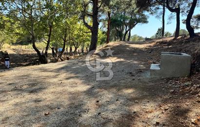 ÇANAKKALE BAYRAMİÇ KARINCALIK KÖYÜ 500 M2 TARLA